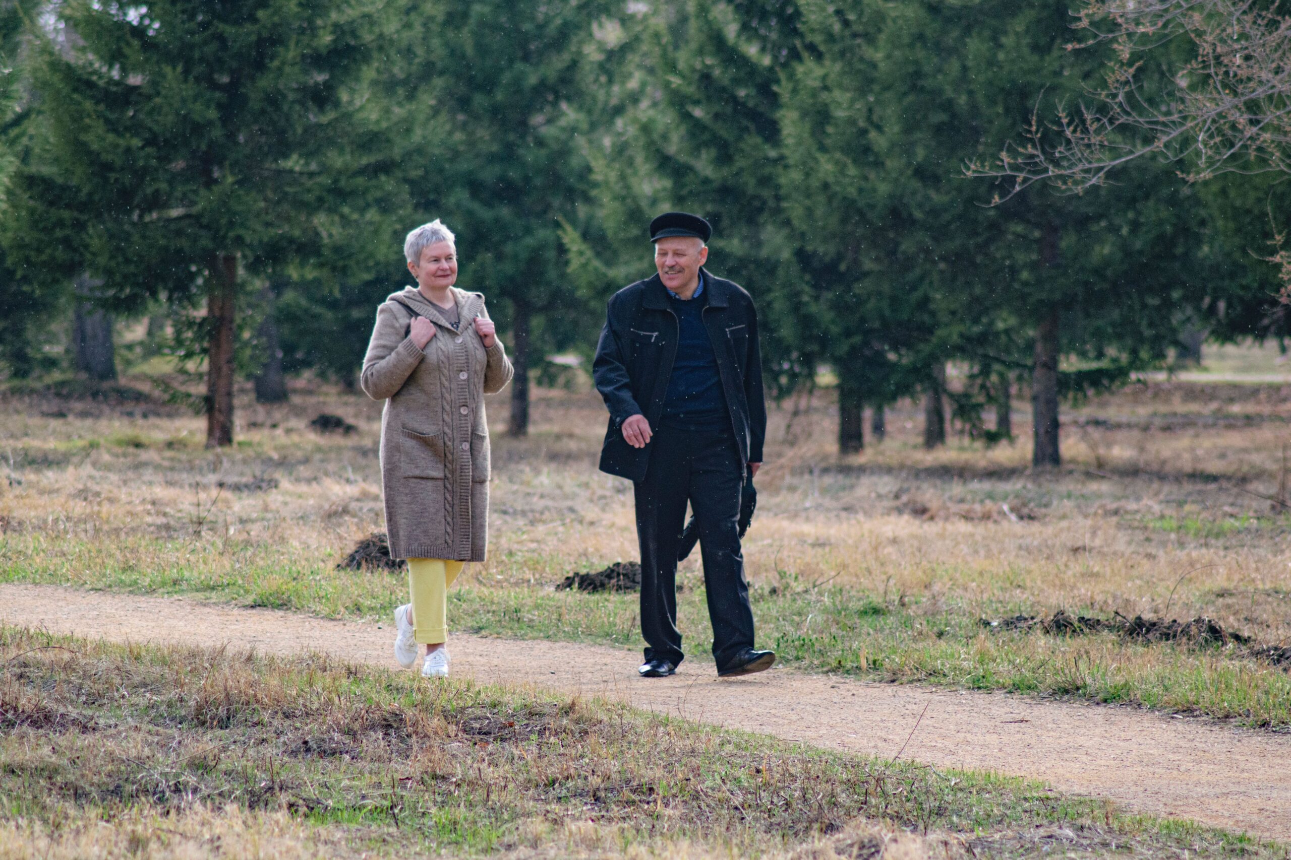 A couple enjoying a walk on a tree-lined park path